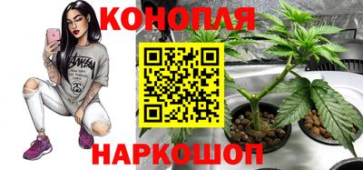 каннабис Владивосток