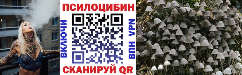 закладка Краснотурьинск Псилоцибиновые грибы Magic Shrooms