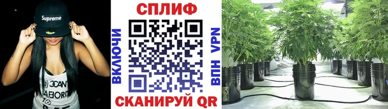 Шишки марихуана сатива  Краснотурьинск 